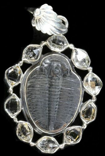 Sterling Silver Elrathia Trilobite Pendant #37958